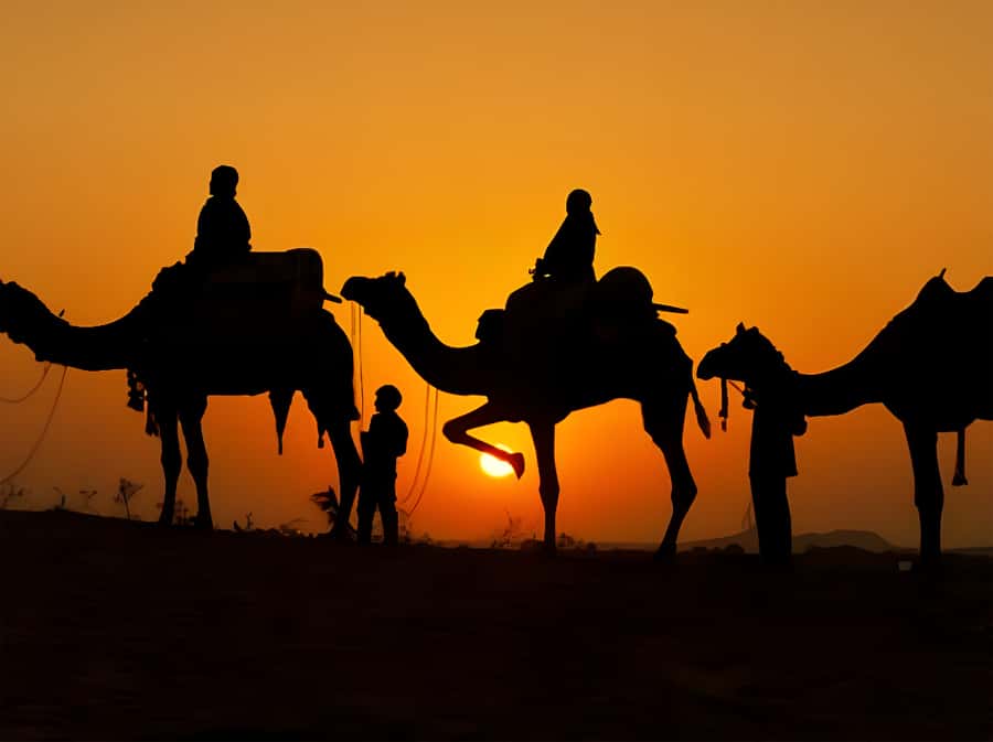 Marrakech: Agafay Desert Camel Ride with Dinner & Show - Who will get the most from this tour