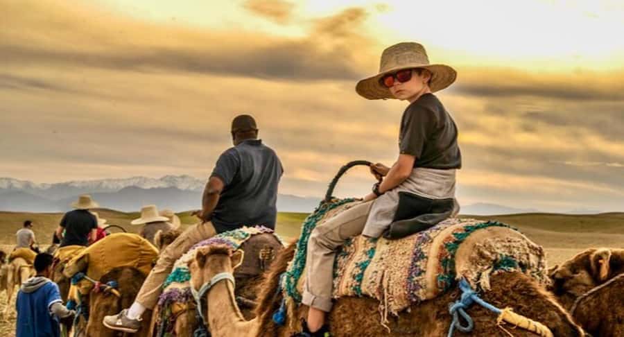 Marrakech: Agafay desert camel ride with dinner & spectacle - A 20-minute camel ride in rocky terrain