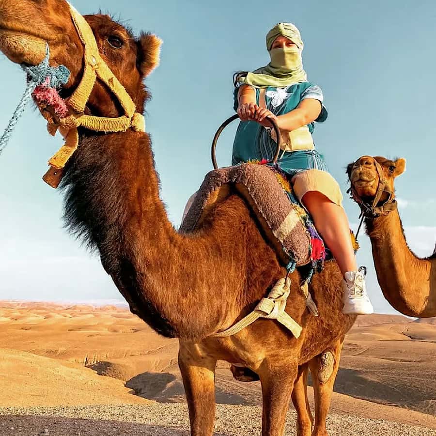 Marrakech: Agafay desert camel ride with dinner & spectacle - Who should book this evening?