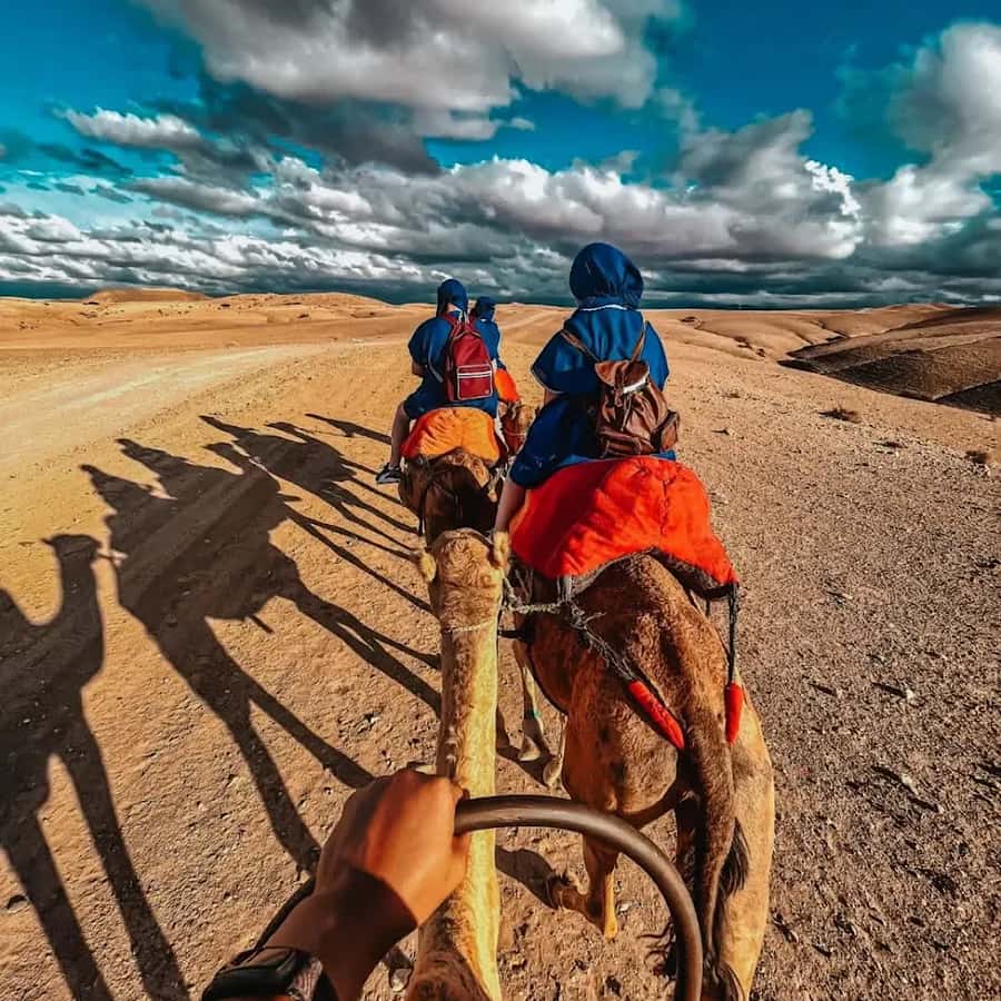 Marrakech: Agafay desert camel ride with dinner & spectacle - The argan oil cooperative stop