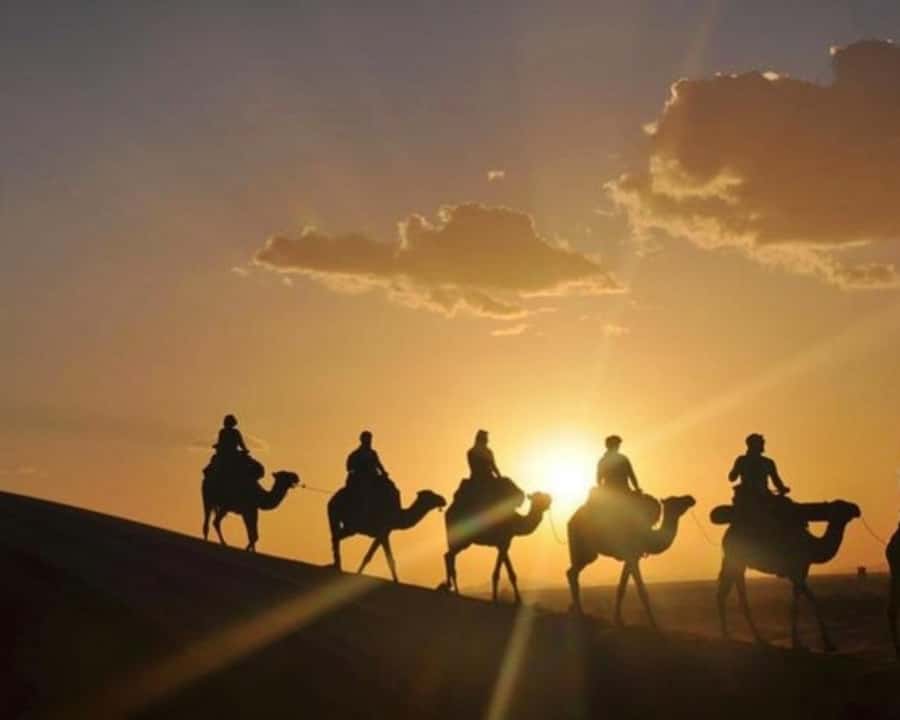 Marrakech: Agafay Desert Camel Rides, Dinner and Fire Show - Quad biking across the rocky dunes