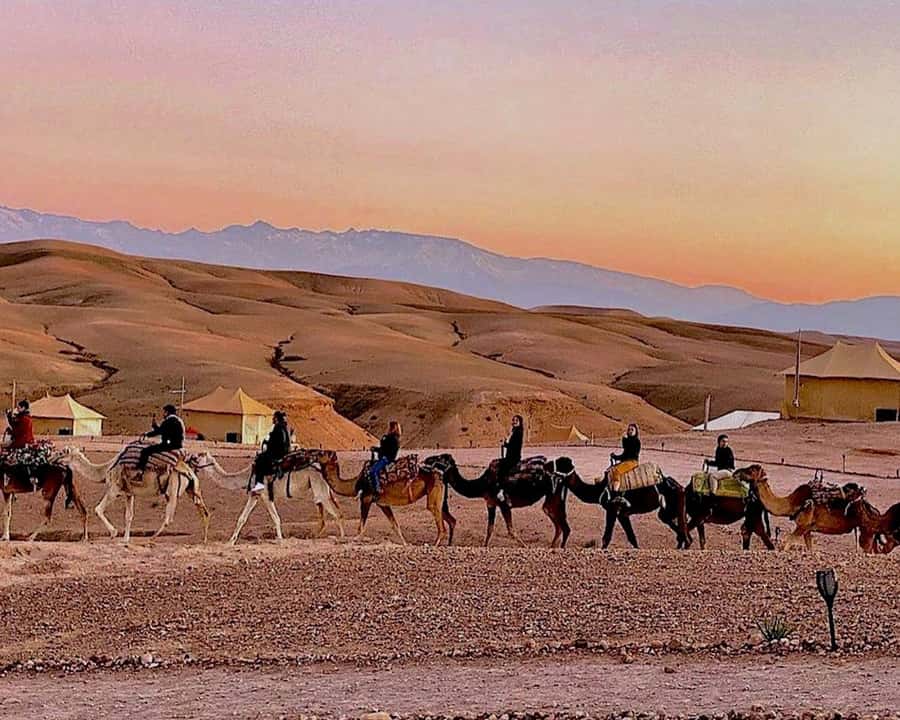 Marrakech: Agafay Desert Camel Rides, Dinner and Fire Show - Guides, drivers, and day-to-day organization