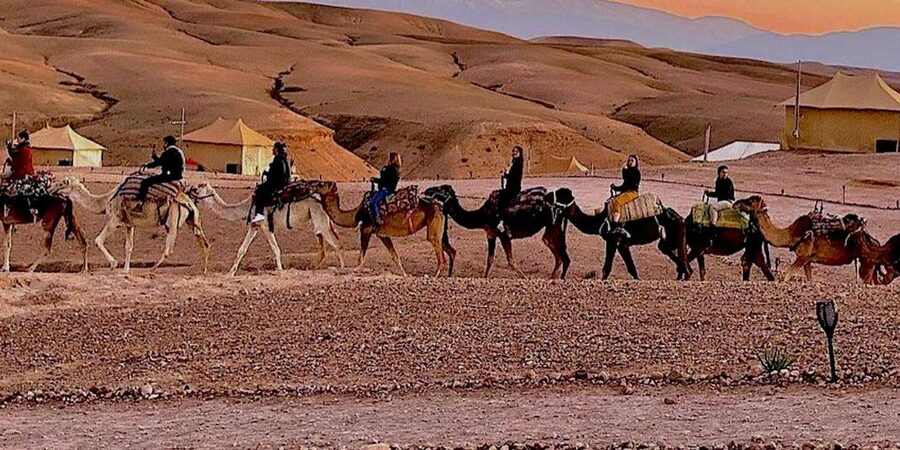 Marrakech: Agafay Desert Camel Rides, Dinner and Fire Show - How the $33 price measures up