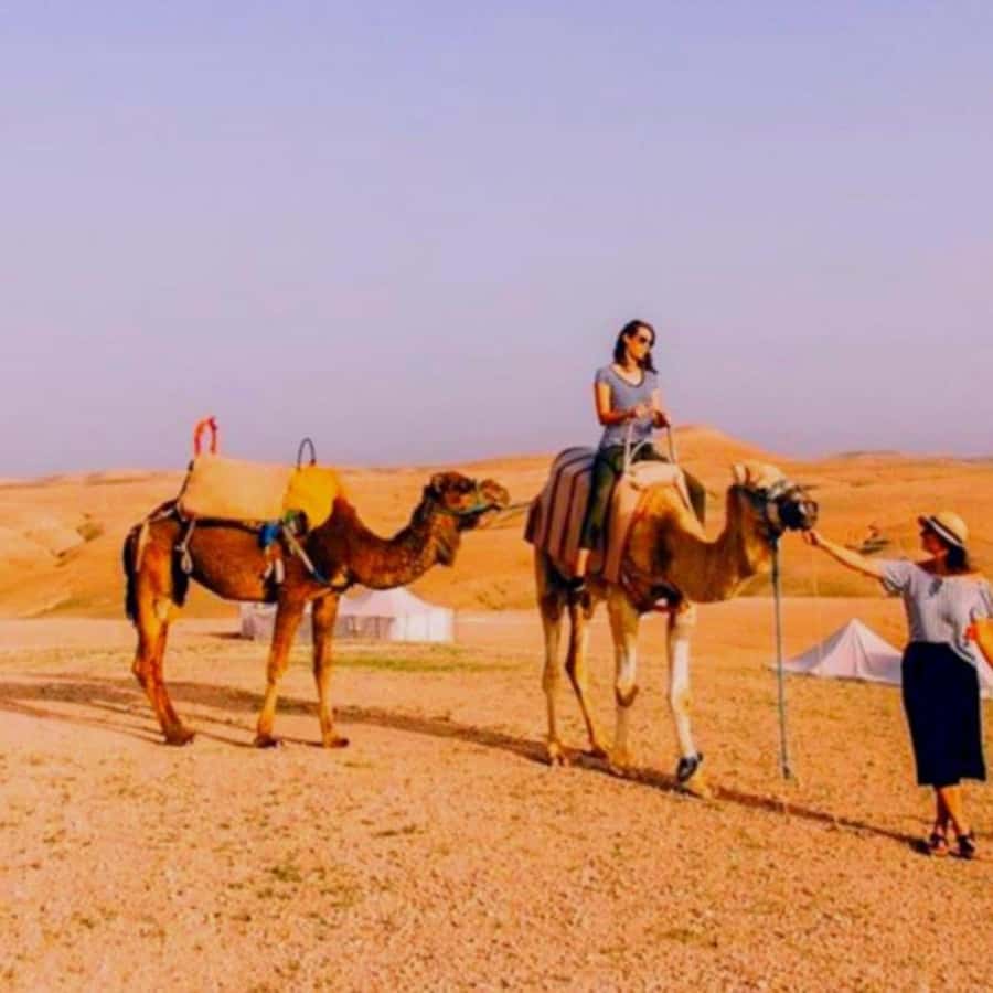 Marrakech: Agafay Desert Camp Lunch with Camel Ride and Pool - Value at $39 per person