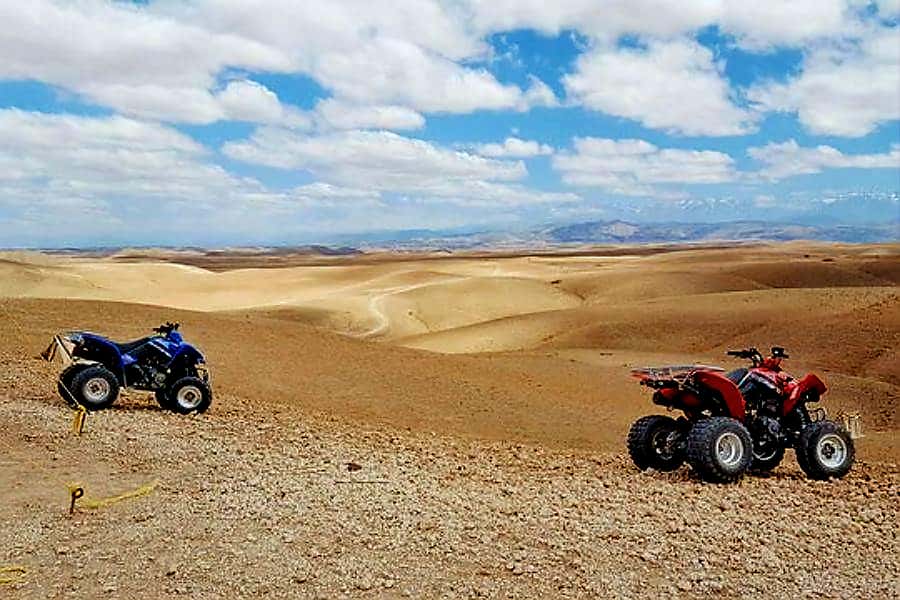 Marrakech: Agafay Desert Dinner Show with Quad Bike & Camel - Guides, transport, and the human side of the day