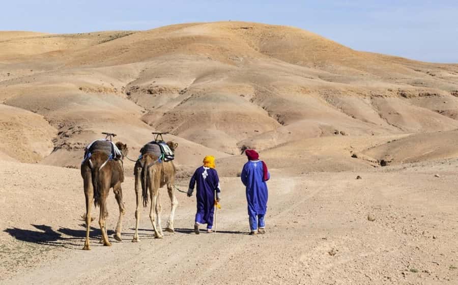 Marrakech: Agafay Desert, Lunch, Camel Ride, & Swimming Pool - What the $40 price really buys you