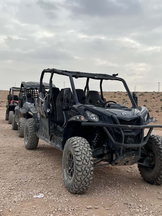 Marrakech: Agafay Desert Quad Bike & Camel Ride with Dinner - Who will enjoy this day most