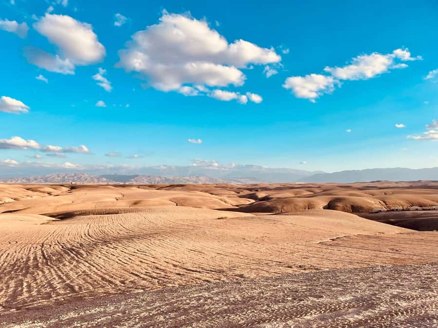 Marrakech: Agafay Desert Quad Bike Tour with Moroccan Tea - Tea, biscuits, and a quiet desert pause