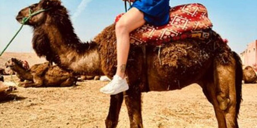 Marrakech: Agafay Desert Quad Biking with Dinner Show - Guides who shape the experience
