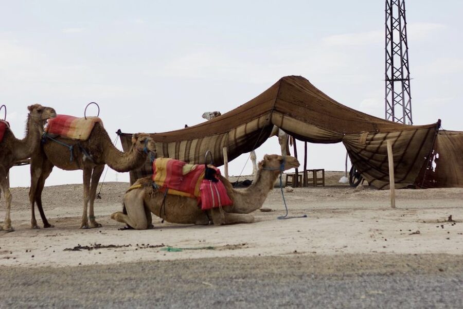 Marrakech: Agafay Desert Quad, Camel or Pool Day with Lunch - Guides, organization, and the value of $28