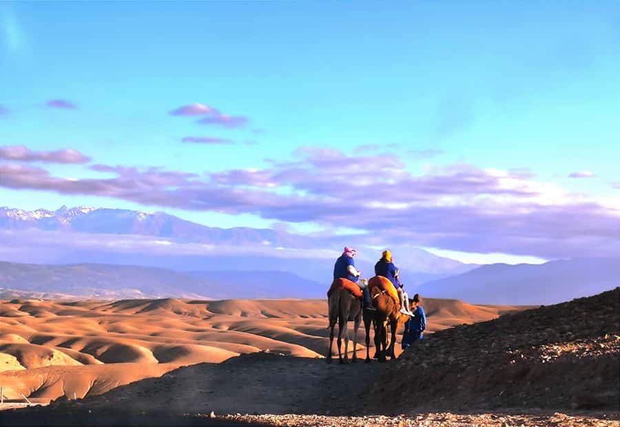Marrakech: Agafay Desert Quad, Camel or Pool Day with Lunch - Choose between a pool day and the evening desert program