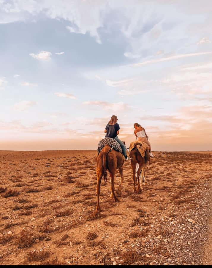 Marrakech: Agafay Desert Quad, Camel Ride & Dinner Show - The camel ride and golden-hour pause