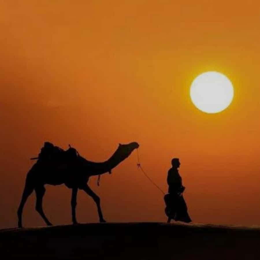 Marrakech: Agafay Desert Quad & Camel Rides with Dinner Show - The argan oil cooperative visit