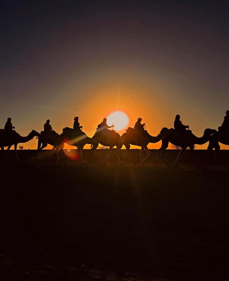 Marrakech: Agafay Desert Sunset, Camel Ride, and Dinner Show - Key points to know before you go