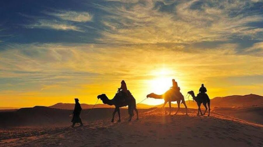 Marrakech: Agafay Desert Sunset, Camel Ride, and Dinner Show - What to bring and how to plan the evening