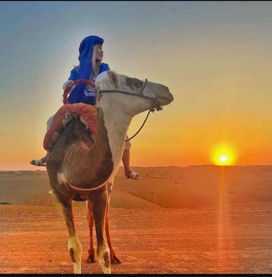 Marrakech: Agafay Desert Sunset, Camel Ride, and Dinner Show - Moroccan dinner with tajine and couscous