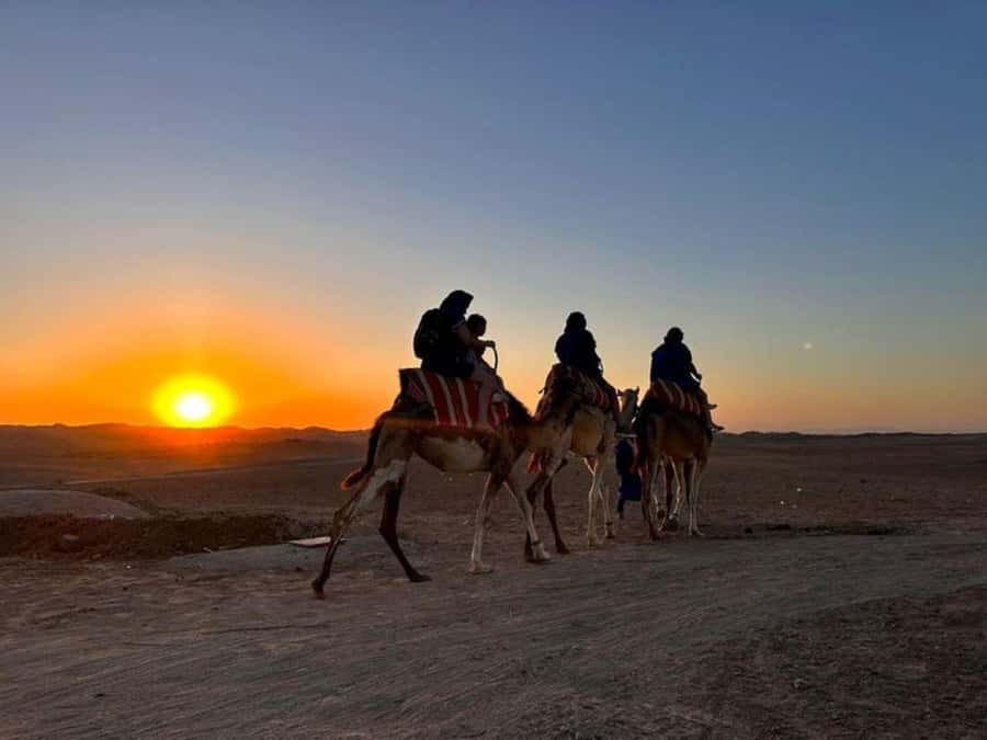 Marrakech: Agafay Desert Trip with Activities and Dinner - Camel riding with a sunset backdrop