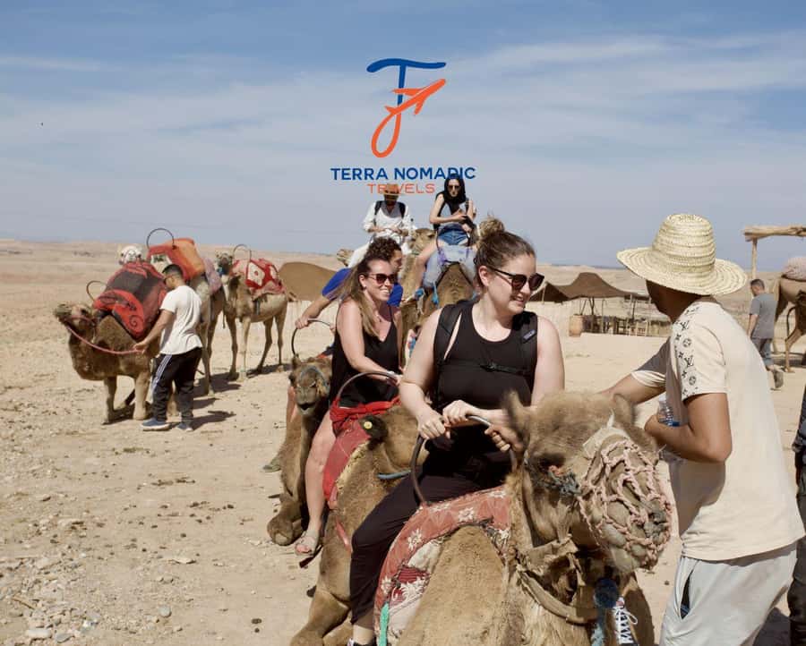 Marrakech: Agafay Dinner Show with Quad/Camel Ride and Pool - What the $57 price really buys you
