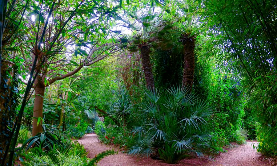Marrakech: André Heller's ANIMA Garden Ticket - Practical details for a smoother visit