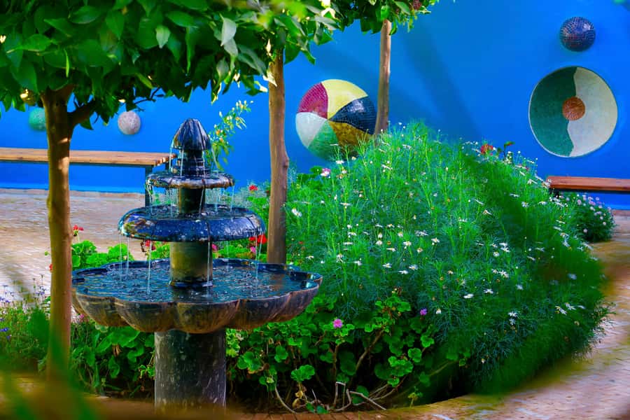 Marrakech: André Heller's ANIMA Garden Ticket - The plants and sensory details