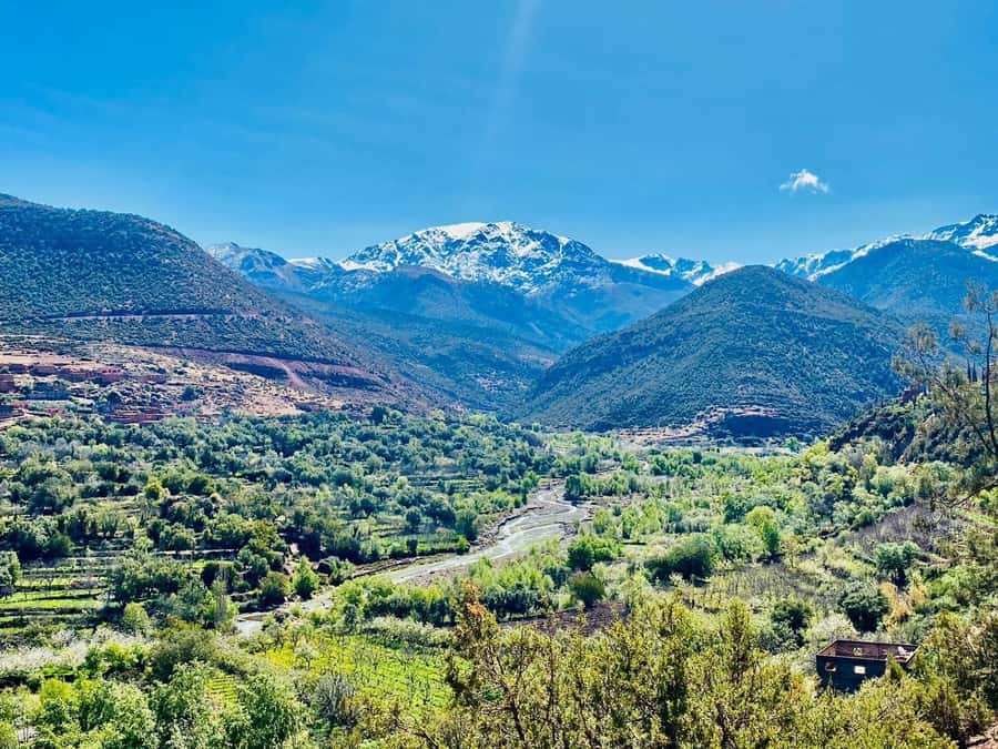 Marrakech: Atlas Mountain, Berber Villages, & Valleys Tour - Waterfalls, mint tea, and a Berber family meal
