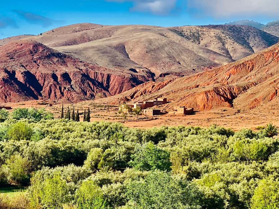 Marrakech: Atlas Mountain, Berber Villages, & Valleys Tour - Asni and the Saturday Berber market