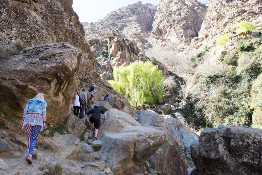 Marrakech: Atlas Mountains and 5 Valleys Day Tour with Lunch - Is $81 a fair price?