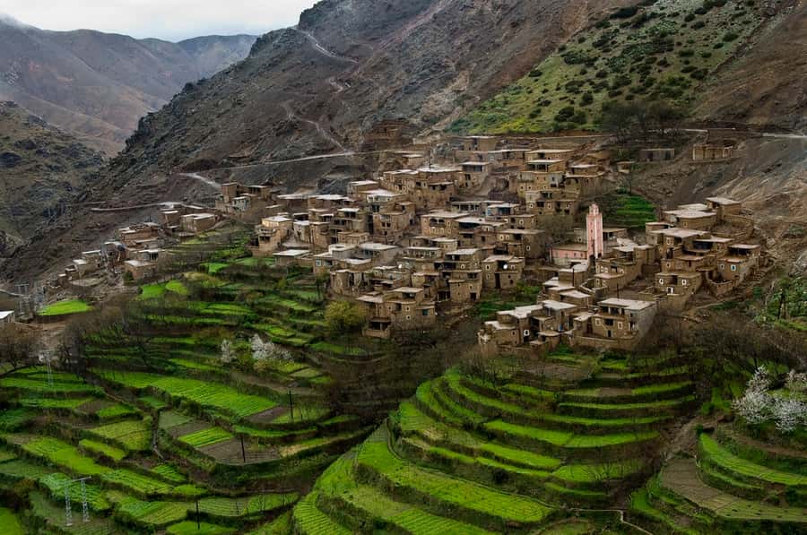 Marrakech: Atlas Mountains and Desert Safari with Lunch - From Marrakech to the Agafay Desert