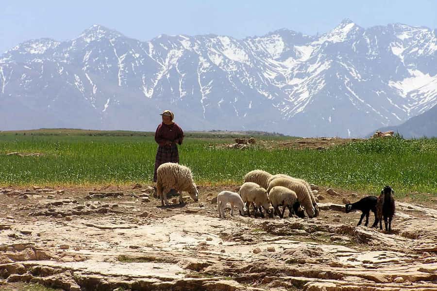 Marrakech: Atlas Mountains and Desert Safari with Lunch - Berber tagine with a mountain view