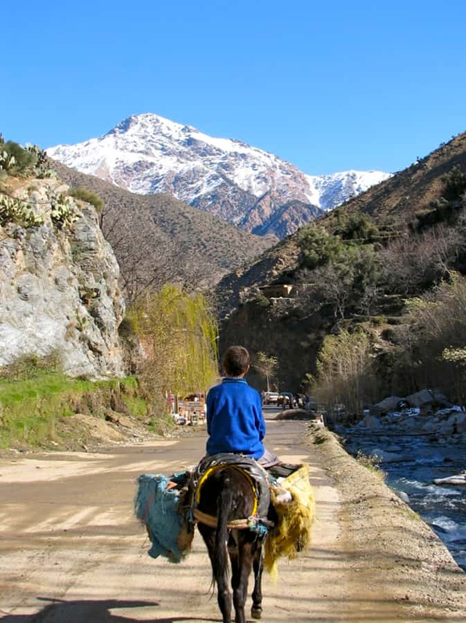 Marrakech: Atlas Mountains and Desert Safari with Lunch - Who will enjoy this day most?