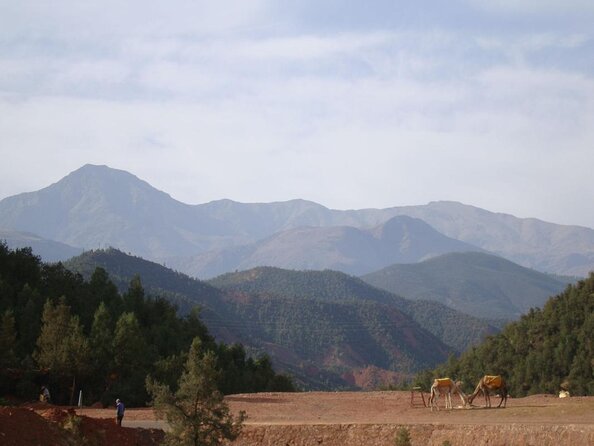 Marrakech: Atlas Mountains, Berber Villages, Agafay & Camel Ride - From Marrakech to the High Atlas in one morning