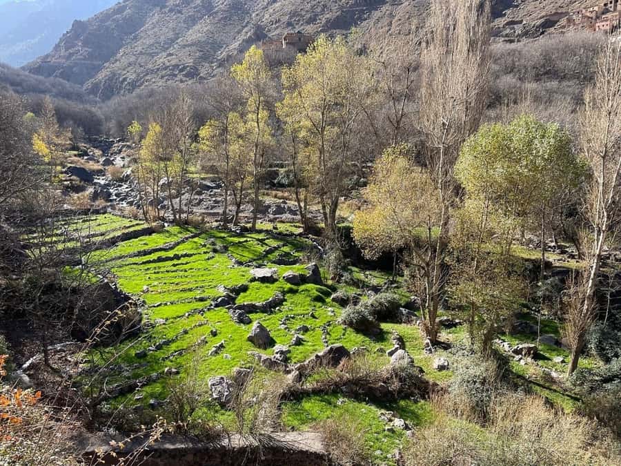 Marrakech: Atlas Mountains, Camel Ride, Waterfalls, & Lunch - Who should book this day trip?