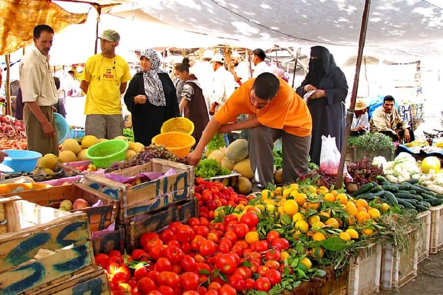 Marrakech: Atlas Mountains, Camel Ride, Waterfalls, & Lunch - Should you book the Atlas Mountains tour?