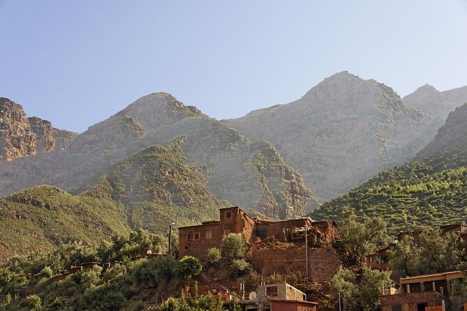 Marrakech: Atlas Mountains, Ourika Valley, Waterfall with Guide - The women’s argan cooperative
