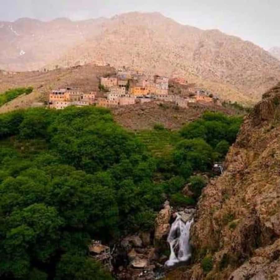 Marrakech: Atlas Mountains & Valleys Waterfall Hike w/ Lunch - Who should book this Atlas Mountains day trip?