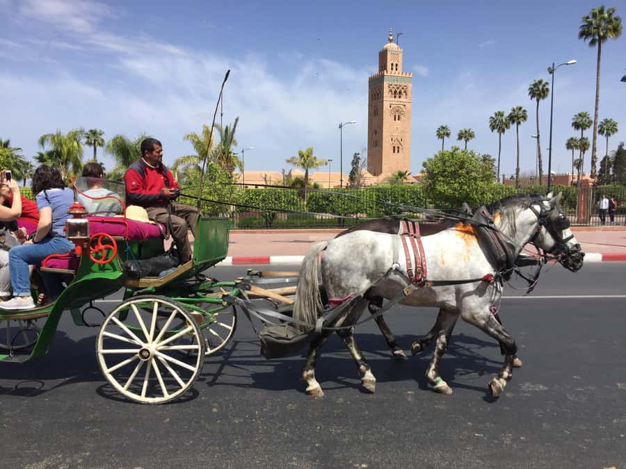 Marrakech: Bahia Palace, Saadian Tombs, & Koutoubia Mosque - Key points to know before you book