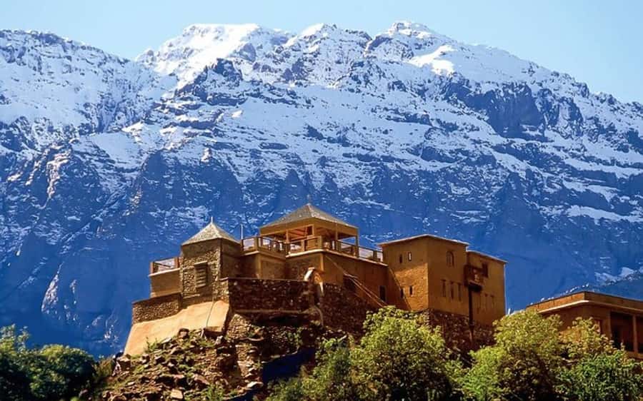 Marrakech: Berber Spa and Traditional Hammam with Steam Room - The 40-minute hammam ritual