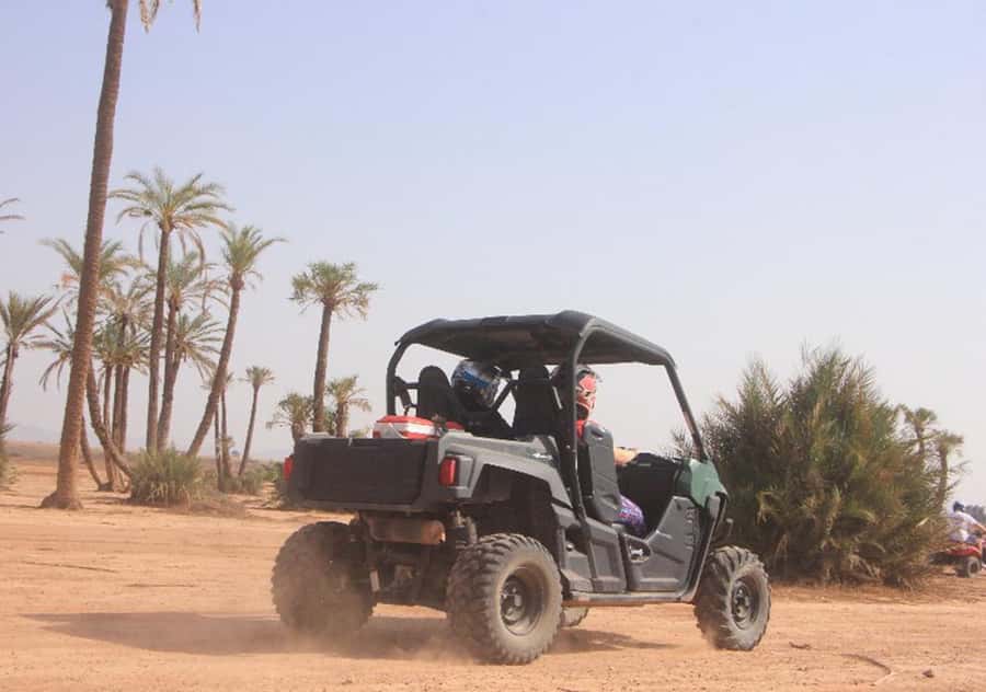 Marrakech: Buggy Experience at Palmeraie with Hotel Pickup - Riding through palm trees and open tracks