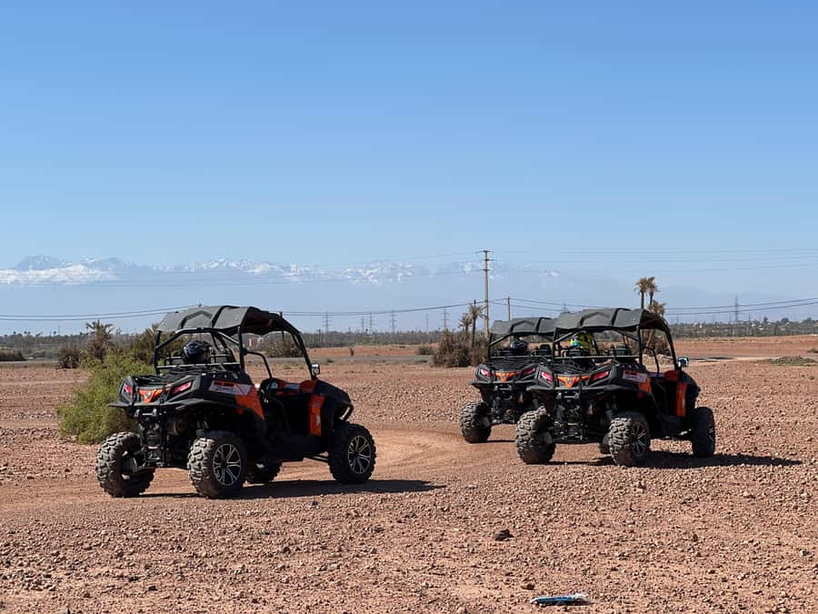 Marrakech Buggy Palmerie and Desert - Is the $44 price good value?