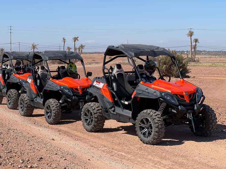 Marrakech Buggy Palmerie and Desert - Who should book this activity?
