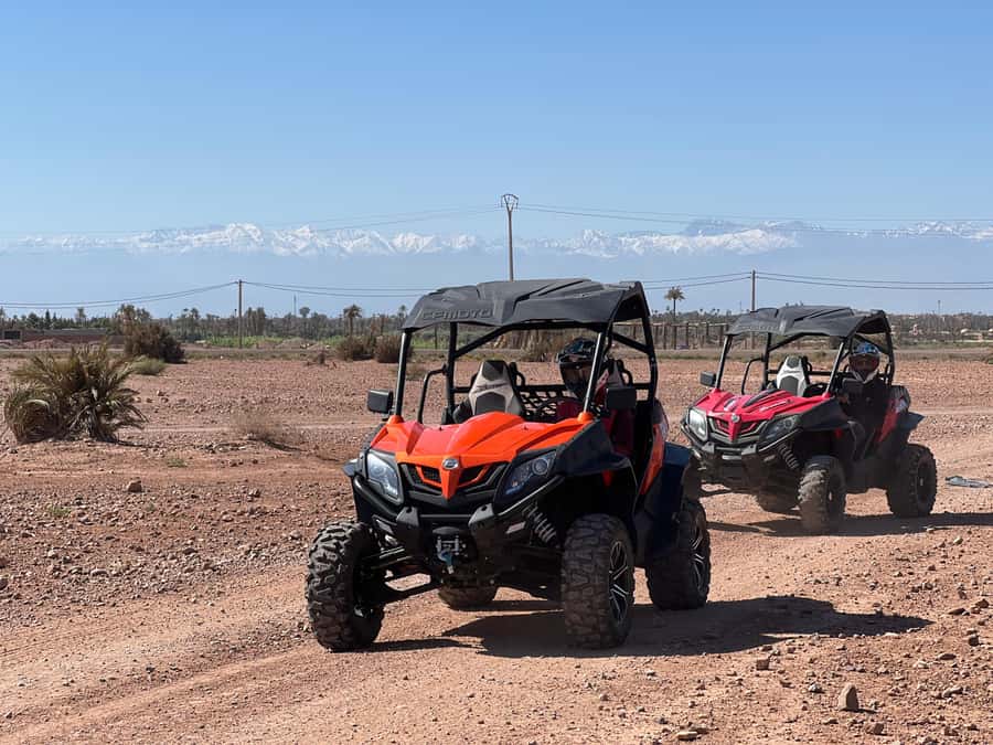 Marrakech Buggy Palmerie and Desert - Booking details that matter