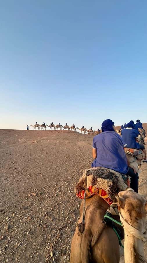 Marrakech: Camel & Quad Bike Tour with Sunset, Dinner & Show - Should you book it?