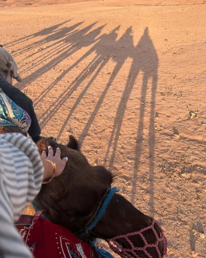 Marrakech: Camel & Quad Bike Tour with Sunset, Dinner & Show - From Marrakech Medina to the Agafay Desert