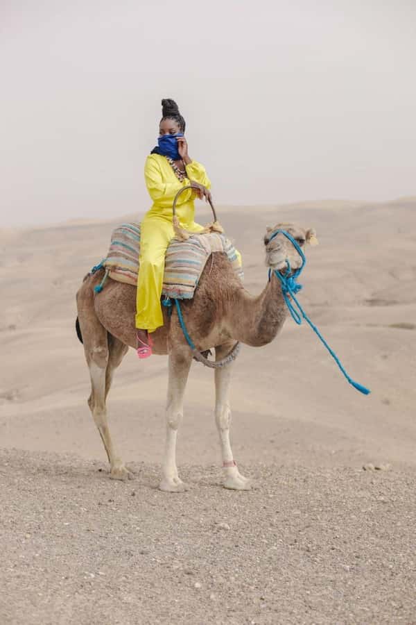 Marrakech: Camel & Quad Bike Tour with Sunset, Dinner & Show - Forty-five minutes of quad biking, including setup and stops