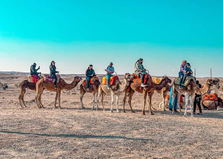 Marrakech: Camel Ride, Dinner, Pool, and Fire Show in Agafay - A short camel ride at the best hour