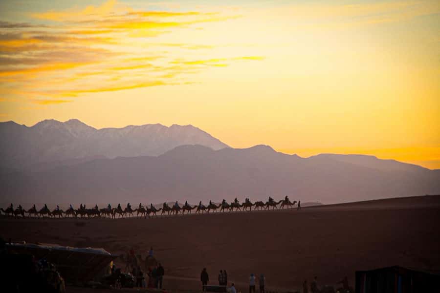 Marrakech: Camel Ride, Dinner, Pool, and Fire Show in Agafay - Who should book this evening