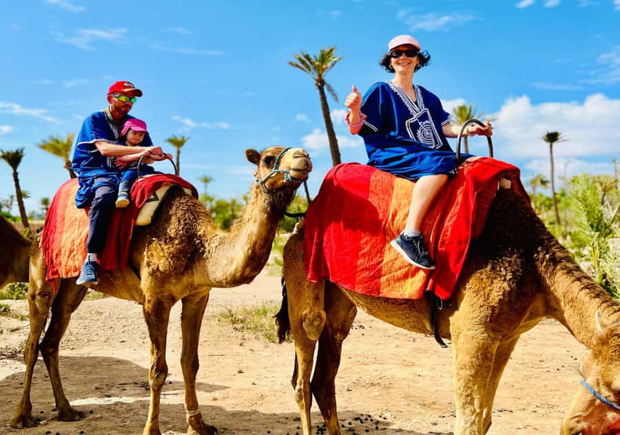 Marrakech: Camel Ride in the Oasis Palmeraie - What the Palmeraie camel ride is really like