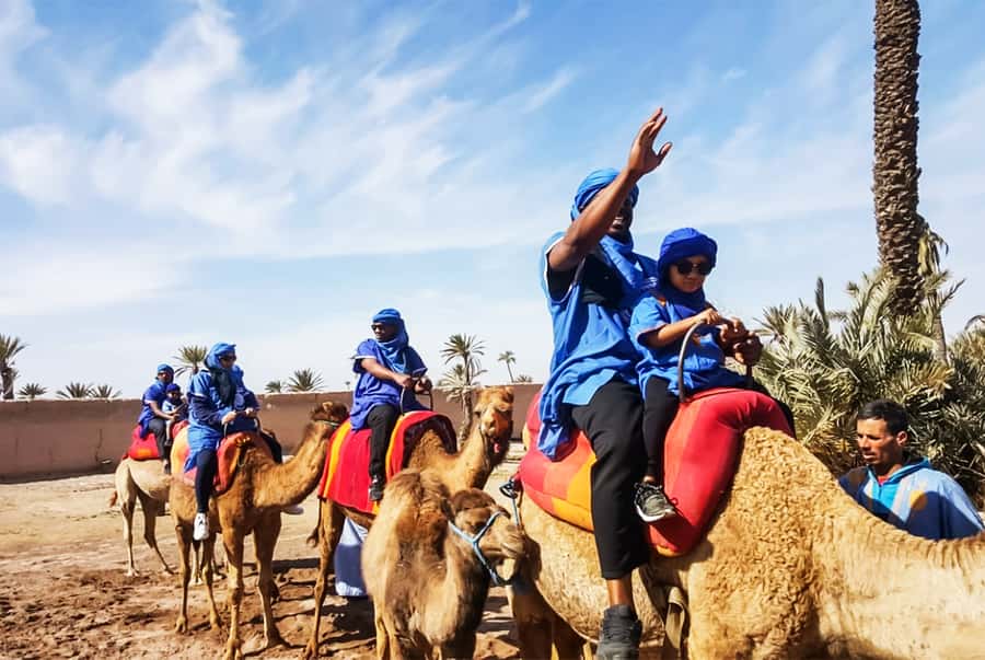 Marrakech: Camel Ride in the Oasis Palmeraie - Should you book the Palmeraie camel ride?