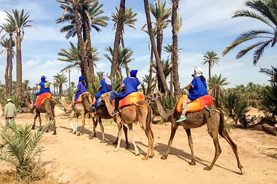 Marrakech: Camel Ride in the Oasis Palmeraie - Mint tea in a nomadic area