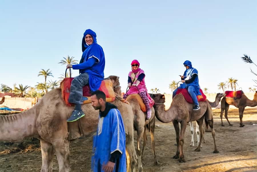 Marrakech: Camel Ride in the Oasis Palmeraie - Why the $26 price can be good value